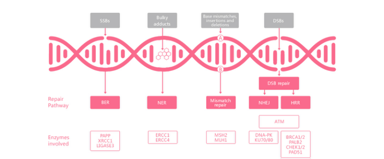 万利国际(中国集团)官方网站