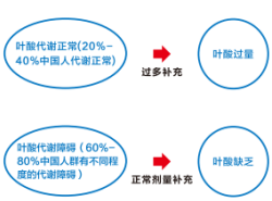 万利国际(中国集团)官方网站