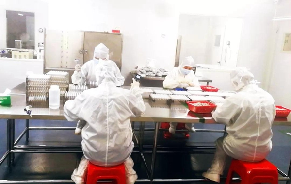 万利国际(中国集团)官方网站