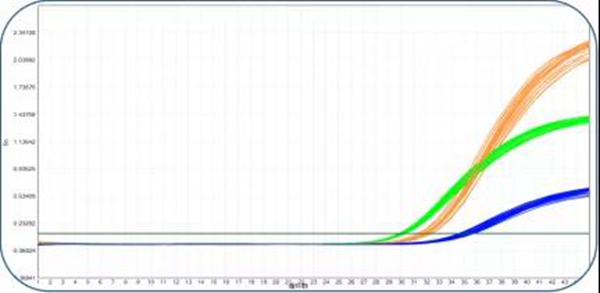 万利国际(中国集团)官方网站