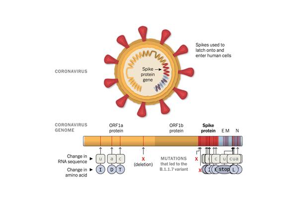 万利国际(中国集团)官方网站