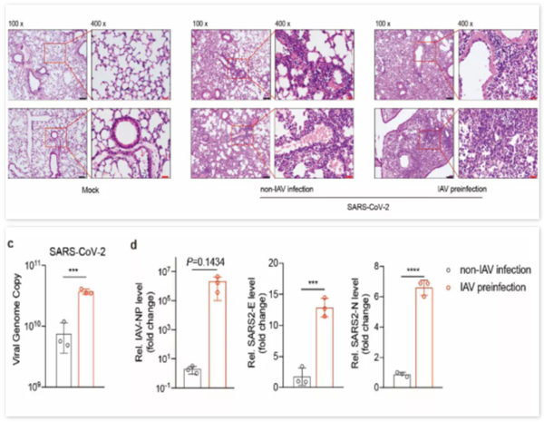 万利国际(中国集团)官方网站