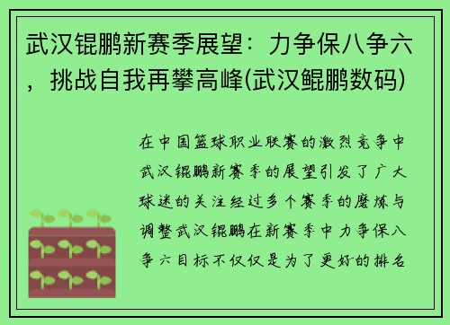 武汉锟鹏新赛季展望：力争保八争六，挑战自我再攀高峰(武汉鲲鹏数码)