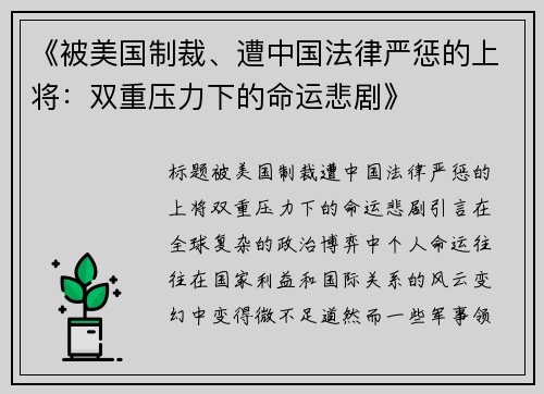 《被美国制裁、遭中国法律严惩的上将：双重压力下的命运悲剧》