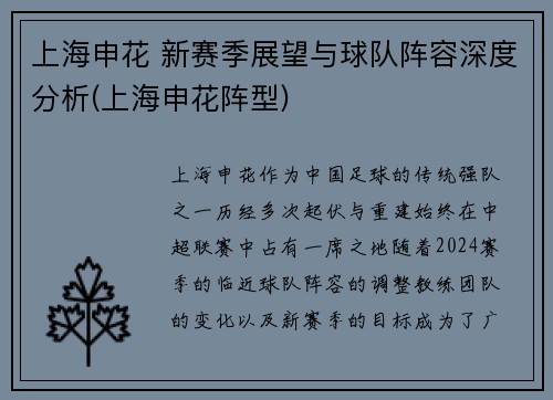 上海申花 新赛季展望与球队阵容深度分析(上海申花阵型)