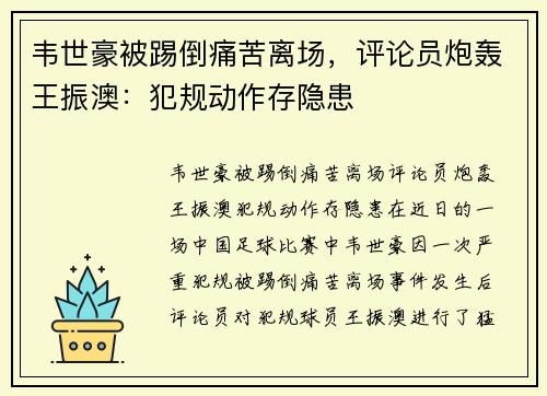 韦世豪被踢倒痛苦离场，评论员炮轰王振澳：犯规动作存隐患