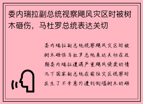 委内瑞拉副总统视察飓风灾区时被树木砸伤，马杜罗总统表达关切
